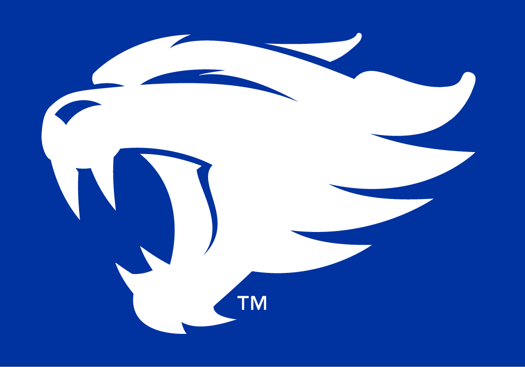 Kentucky Wildcats 2016-Pres Alternate Logo iron on paper